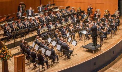 Banda de Ulm en el IFOB